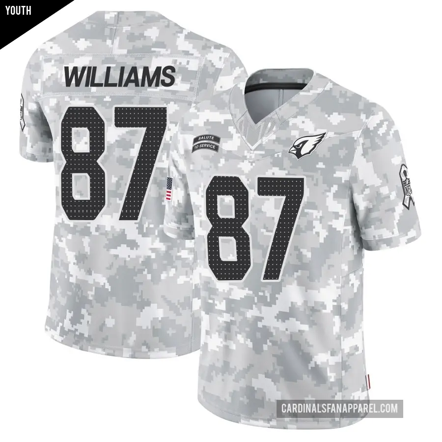 Youth Arizona Cardinals ＃87 Maxx Williams Arctic Camo Limited 2024 Salute to Service Jersey